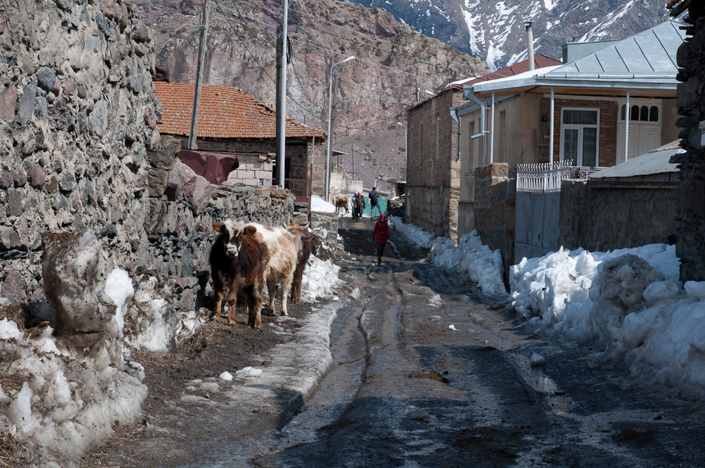 Kazbegi